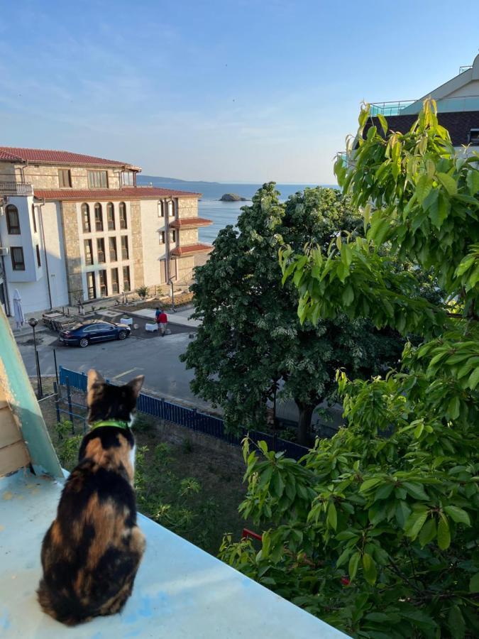 Amadina Garden Hotel Lozenets Bagian luar foto